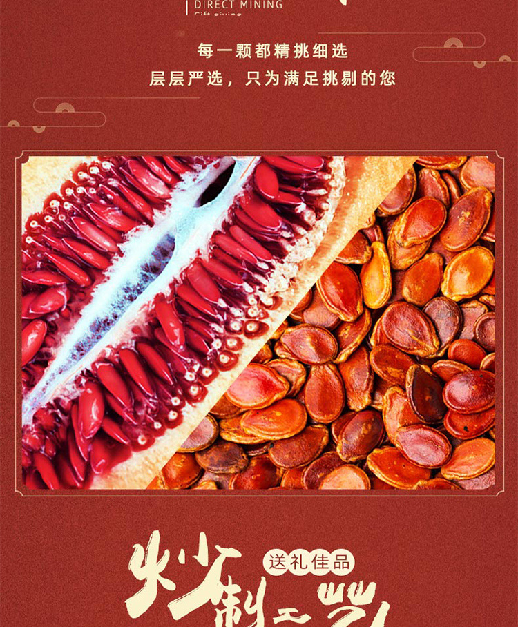 H款紅瓜子550克_05.jpg