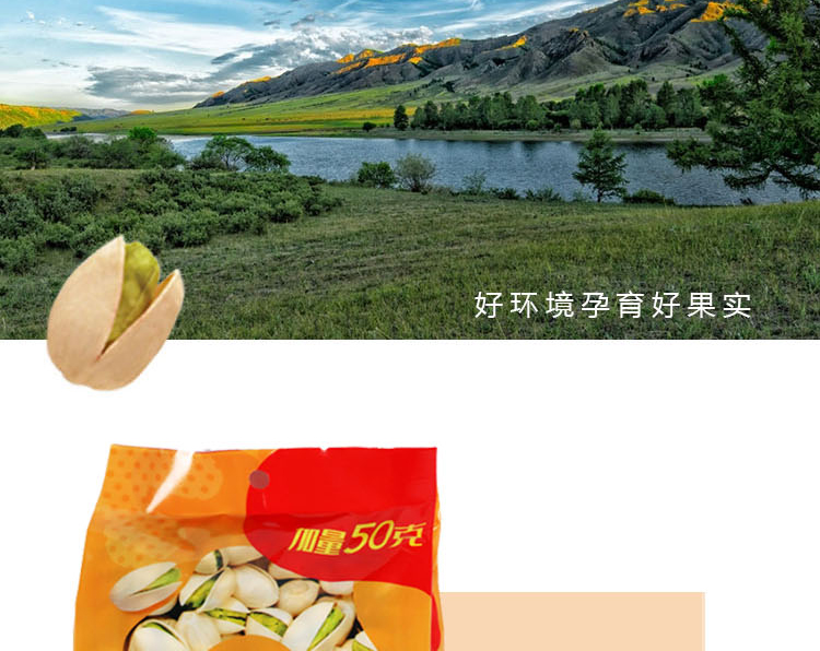 開心果-480克+50克_04.jpg