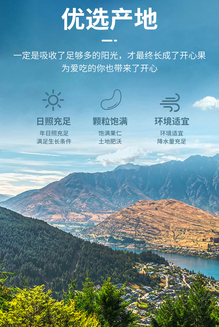 鹽焗腰果230克_02.jpg